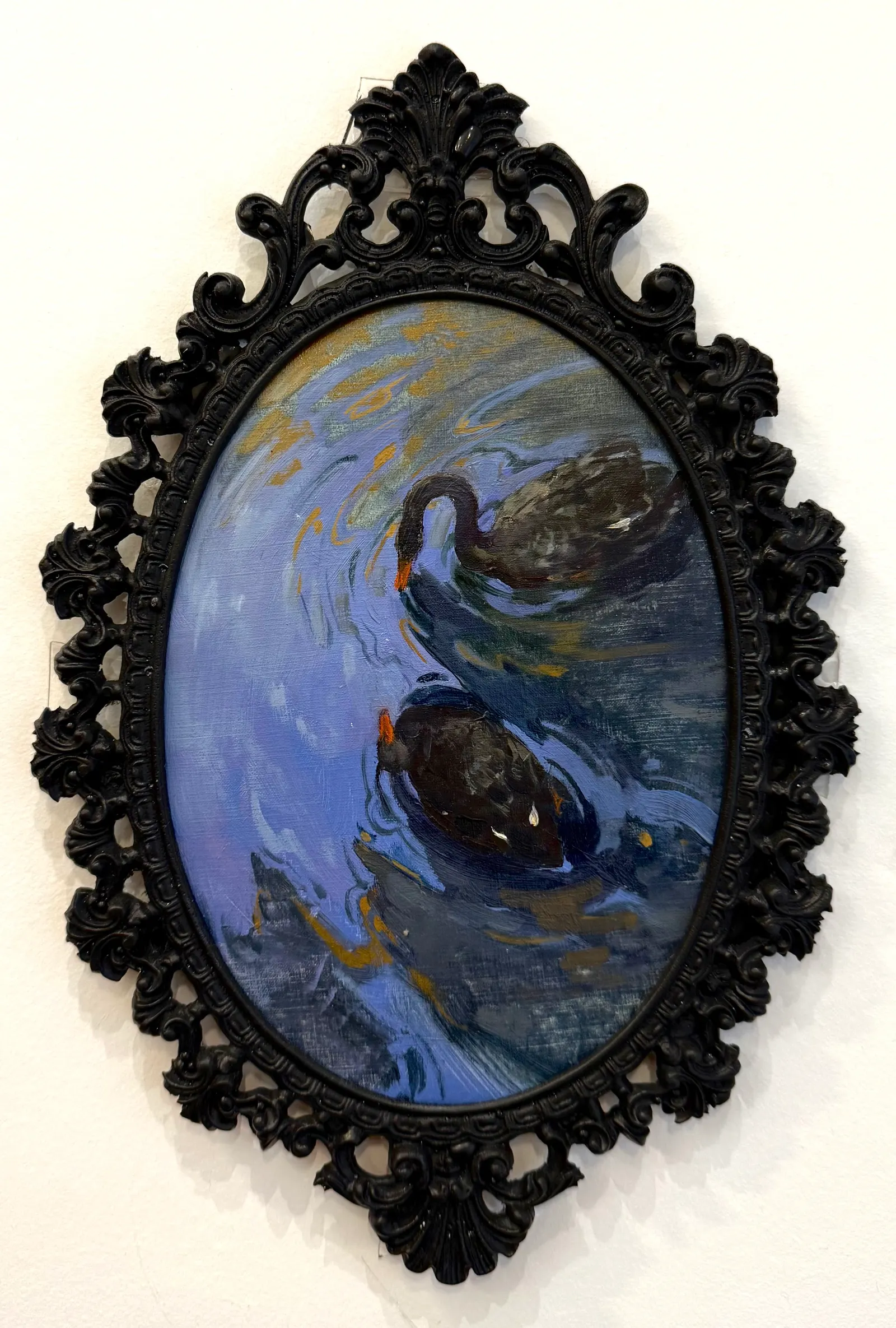 Лебеди в дендропарке